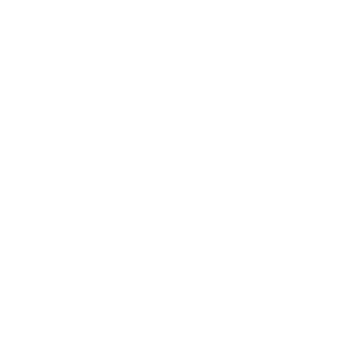 Aveiro Fight Team